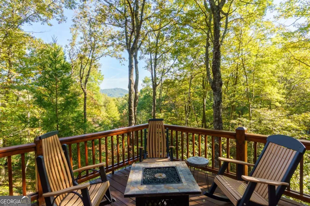 24 Casey CT Blue Ridge, GA 30513