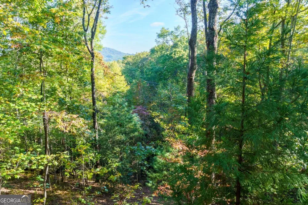 24 Casey CT Blue Ridge, GA 30513