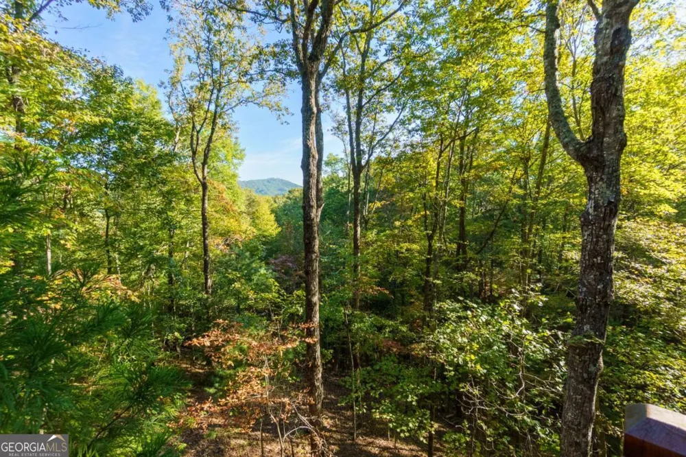 24 Casey CT Blue Ridge, GA 30513