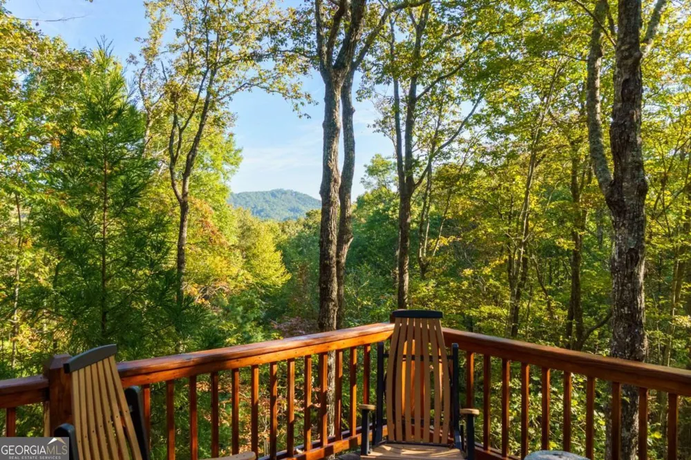24 Casey CT Blue Ridge, GA 30513
