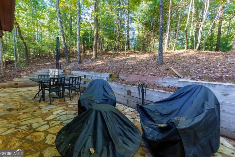 24 Casey CT Blue Ridge, GA 30513
