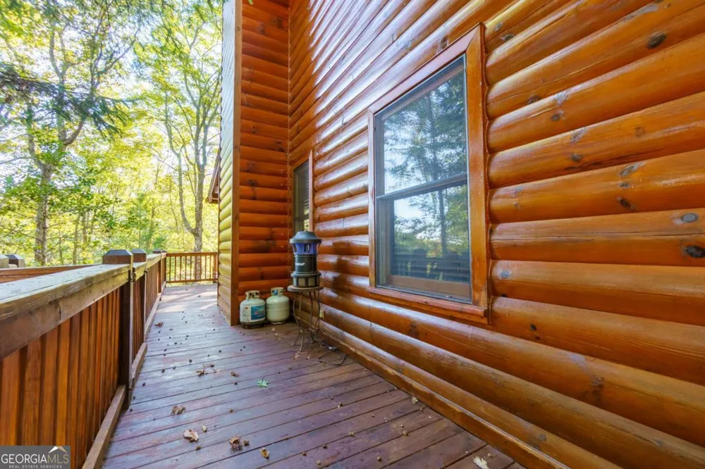 24 Casey CT Blue Ridge, GA 30513
