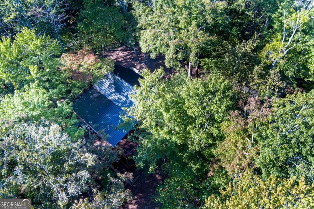 24 Casey CT Blue Ridge, GA 30513