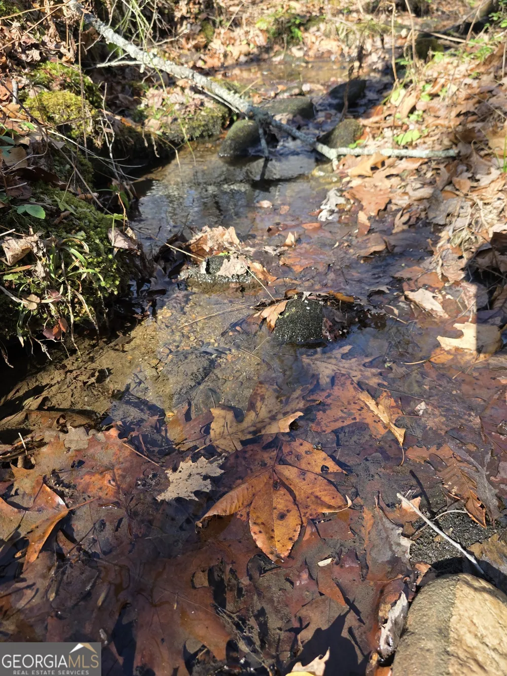 1994 Camp Creek RD Lakemont, GA 30552