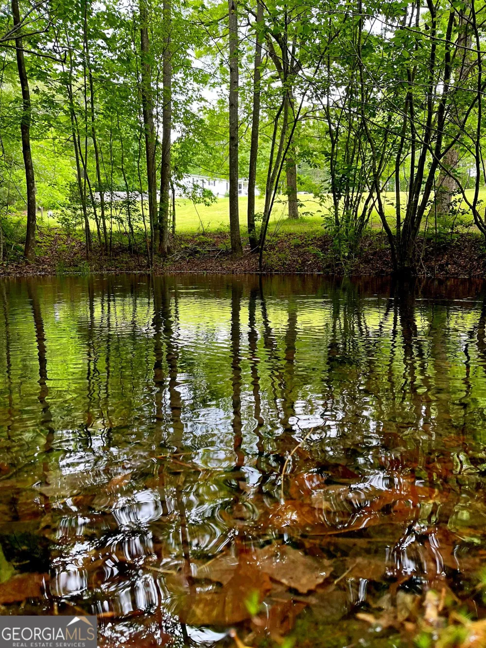 1994 Camp Creek RD Lakemont, GA 30552