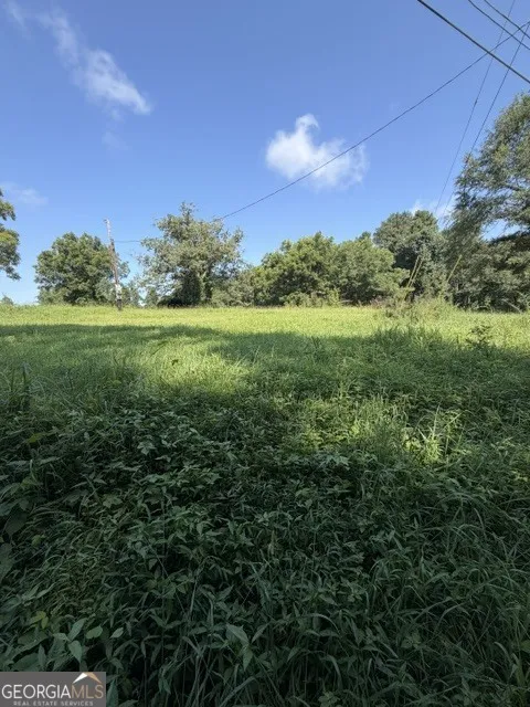 170 S Kelley ST Tallapoosa, GA 30176