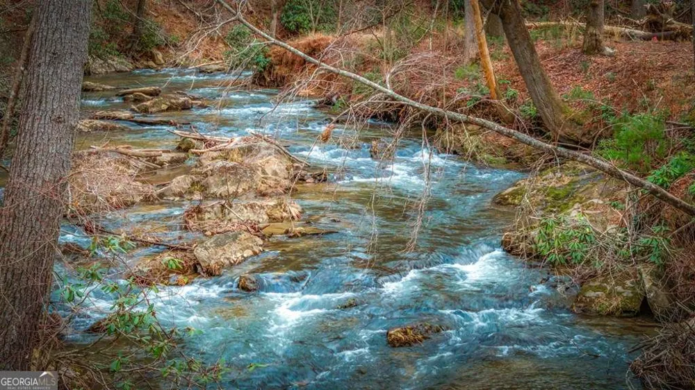 164 Water Dance TRL Blue Ridge, GA 30513