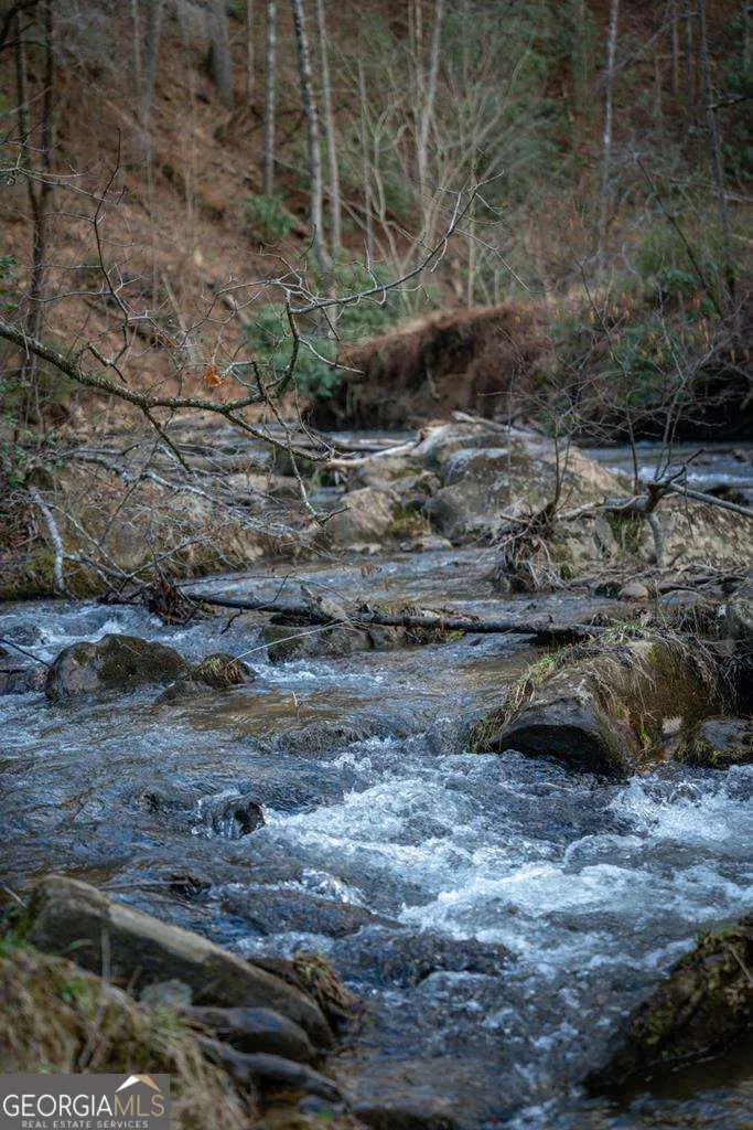 164 Water Dance TRL Blue Ridge, GA 30513