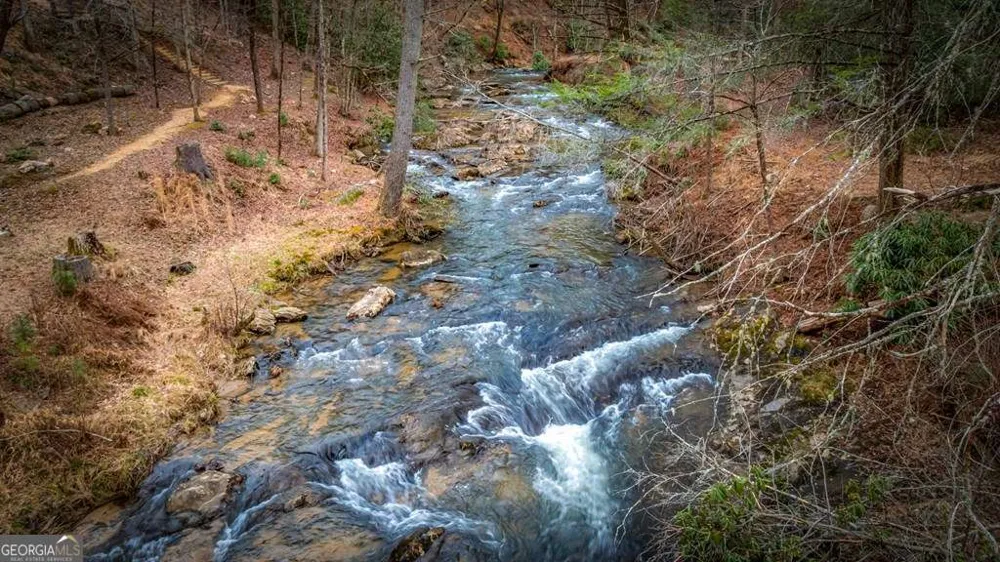 164 Water Dance TRL Blue Ridge, GA 30513