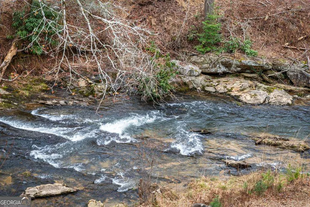 164 Water Dance TRL Blue Ridge, GA 30513