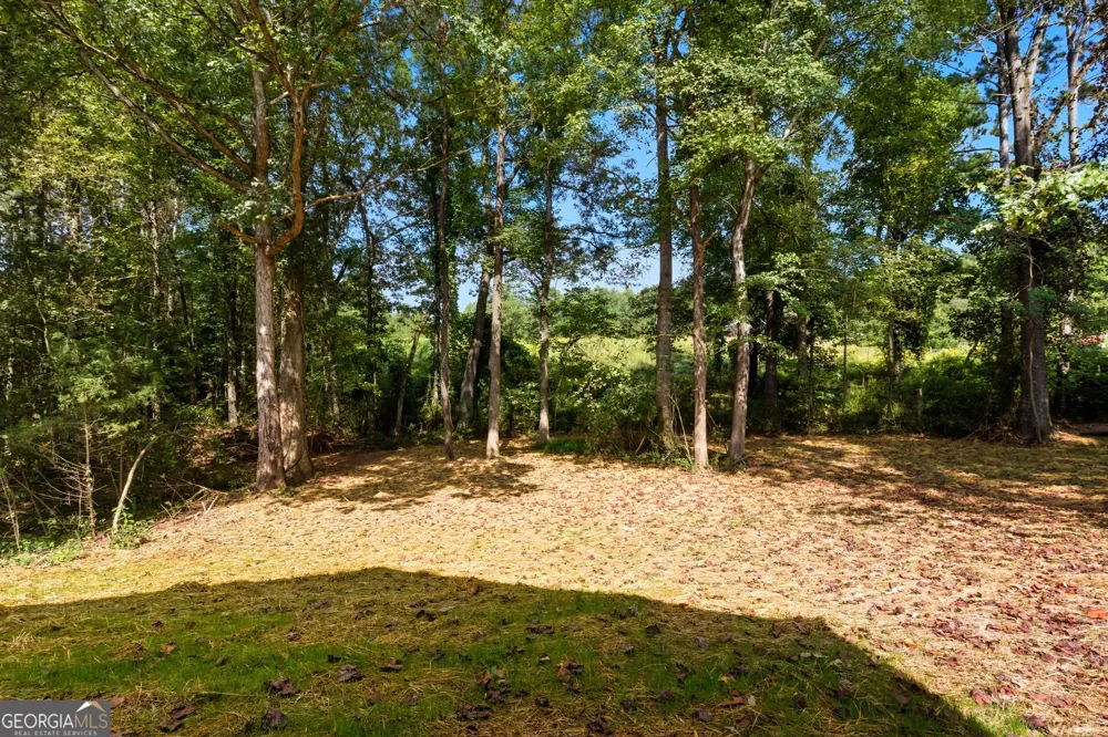 193 Tabitha Page LN Toccoa, GA 30577