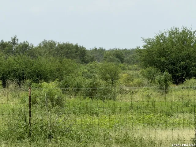 1550 County Road 300 Jourdanton, TX 78026