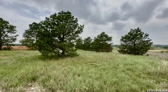 180 Santa Gertrudis Dr Sutherland Springs, TX 78161