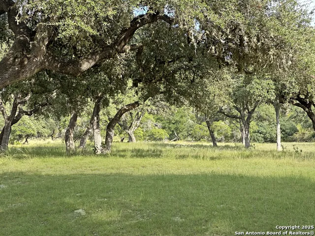 TBD-LOT 42 Blackbuck Pipe Creek, TX 78063