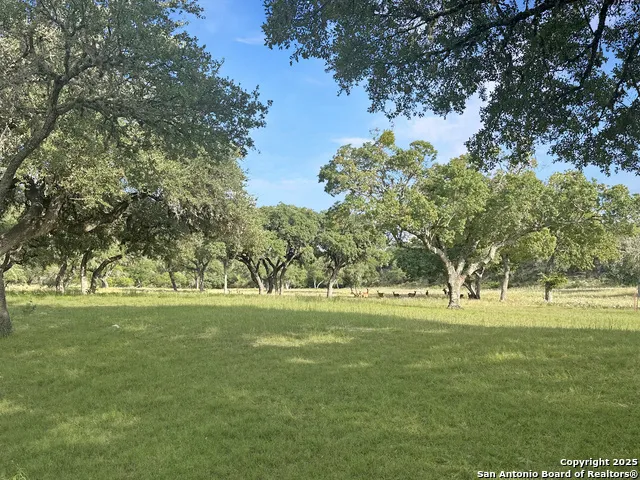 TBD-LOT 42 Blackbuck Pipe Creek, TX 78063