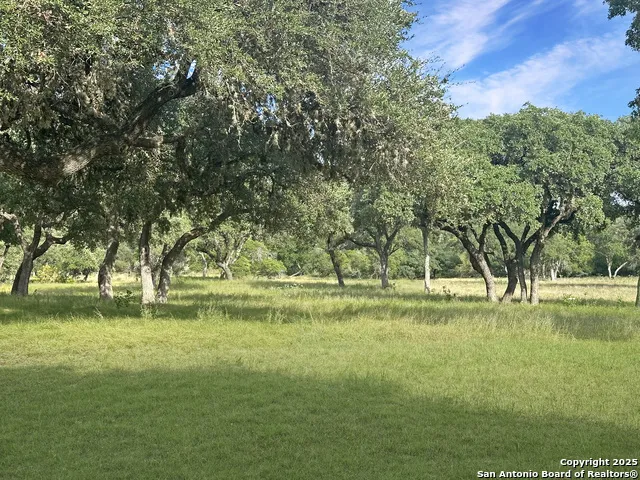 TBD-LOT 42 Blackbuck Pipe Creek, TX 78063