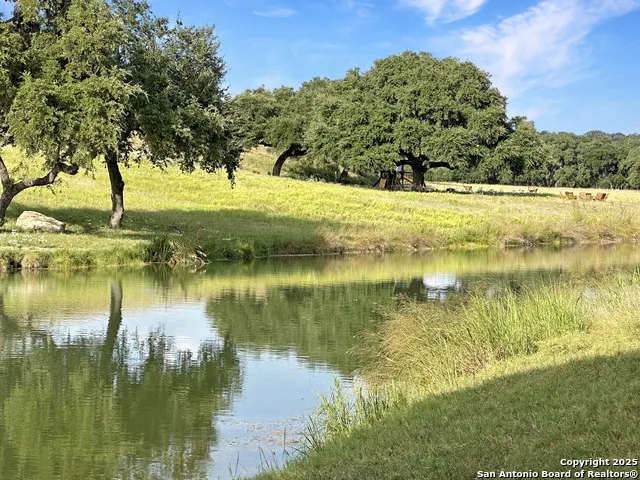 TBD-LOT 42 Blackbuck Pipe Creek, TX 78063