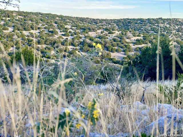 1213 Sd 42200 Rocksprings, TX 78880