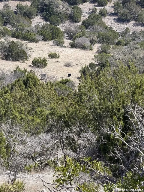 1213 Sd 42200 Rocksprings, TX 78880