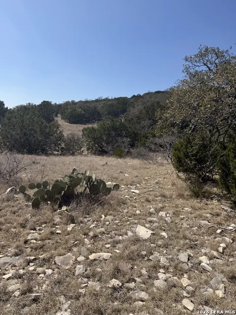 1213 Sd 42200 Rocksprings, TX 78880