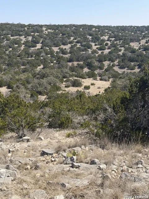 1213 Sd 42200 Rocksprings, TX 78880