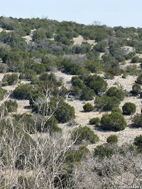 1213 Sd 42200 Rocksprings, TX 78880