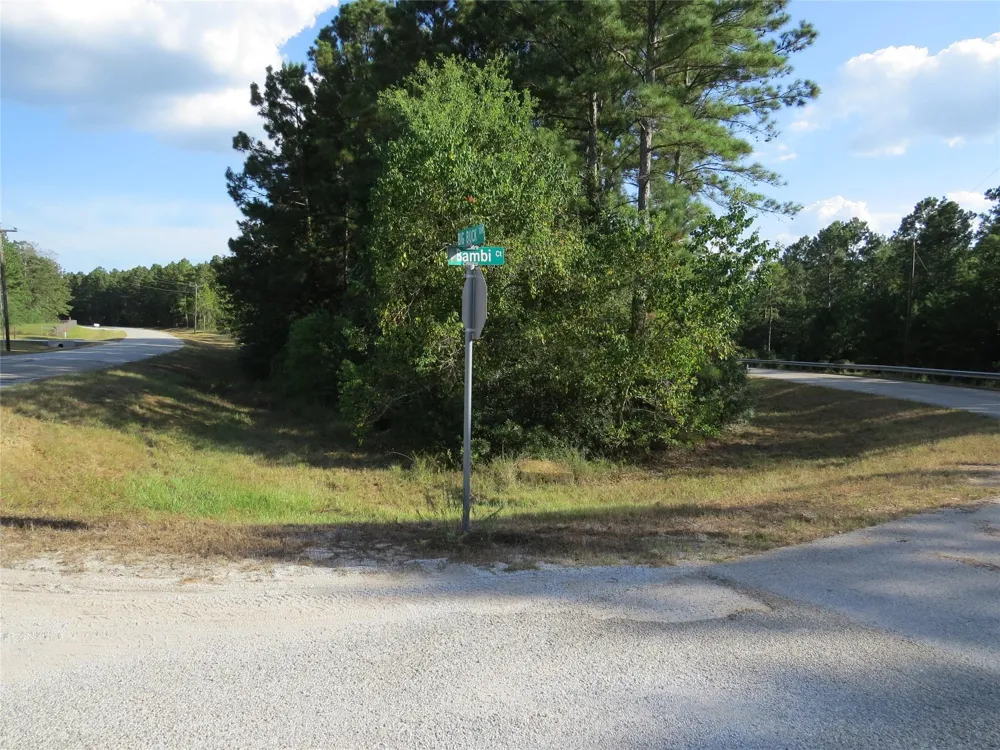 2176 Bambi Court Cleveland, TX 77328