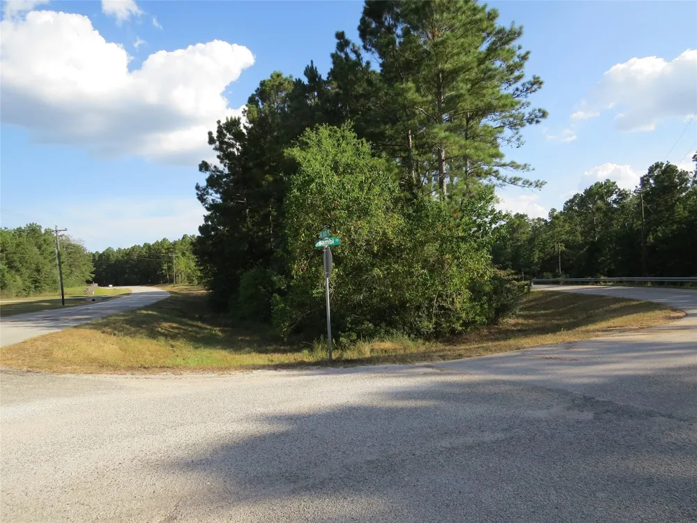 2176 Bambi Court Cleveland, TX 77328