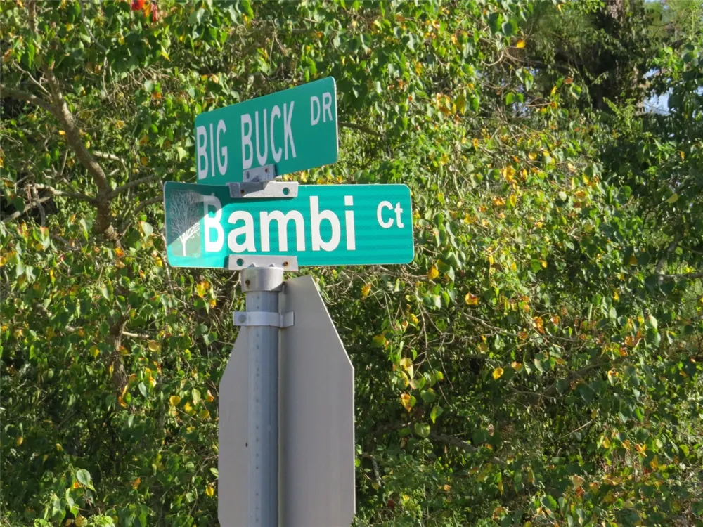 2176 Bambi Court Cleveland, TX 77328