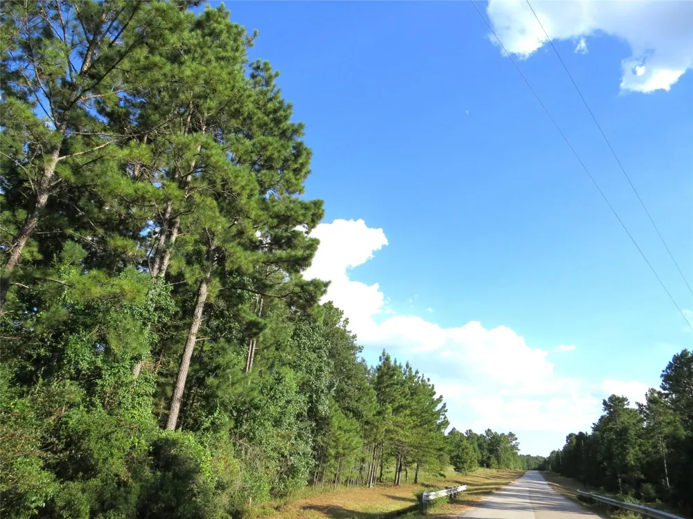 2176 Bambi Court Cleveland, TX 77328