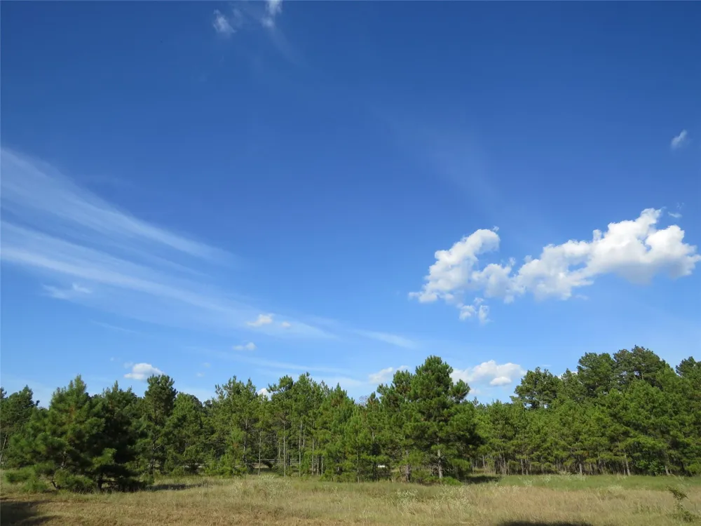 2176 Bambi Court Cleveland, TX 77328