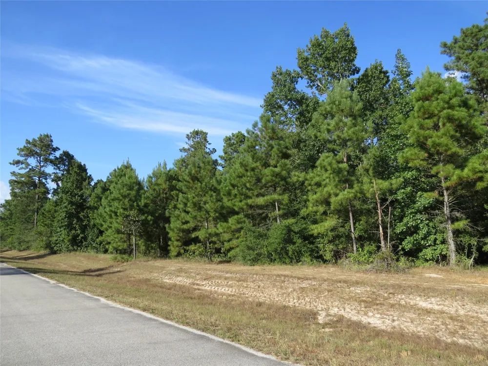 2176 Bambi Court Cleveland, TX 77328