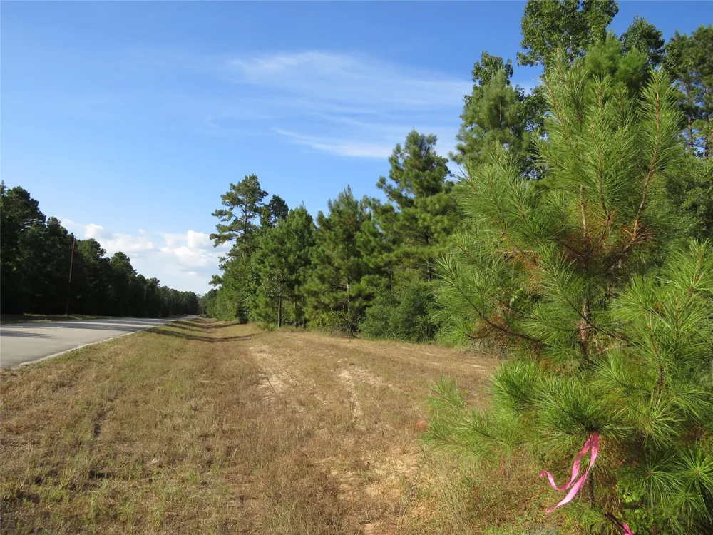 2176 Bambi Court Cleveland, TX 77328