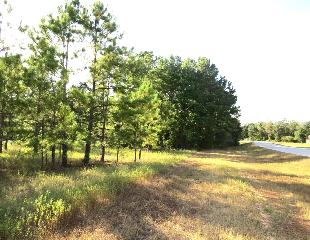2176 Bambi Court Cleveland, TX 77328