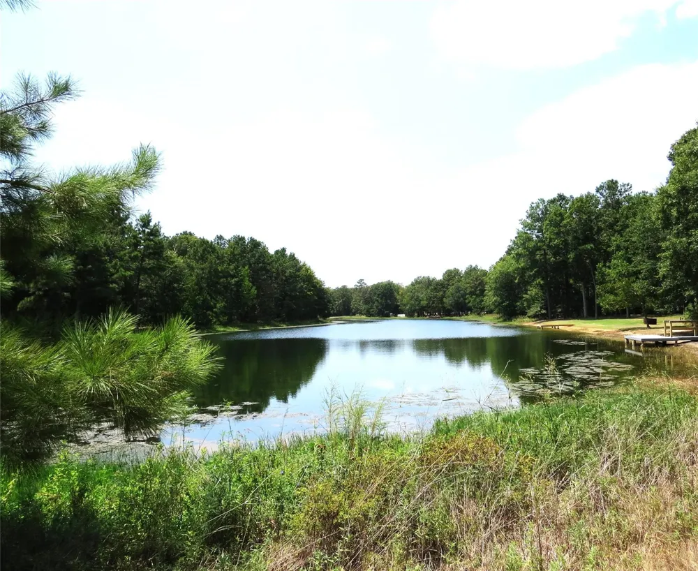 2176 Bambi Court Cleveland, TX 77328