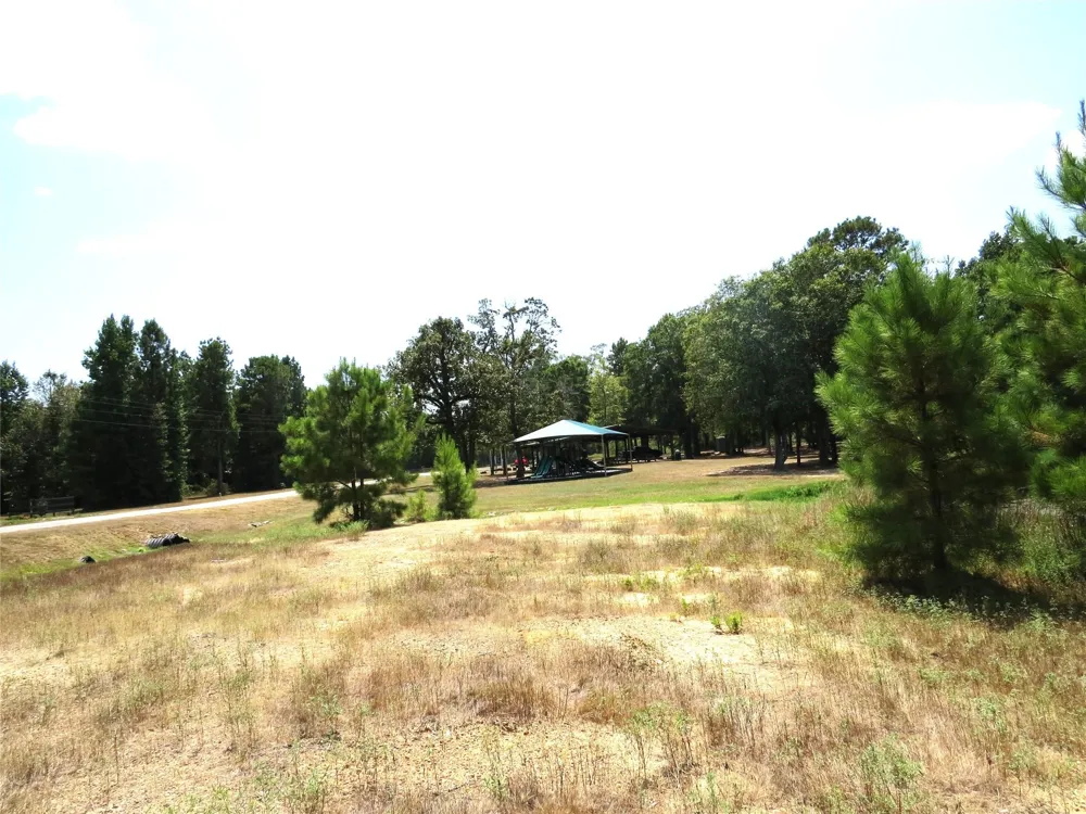 2176 Bambi Court Cleveland, TX 77328