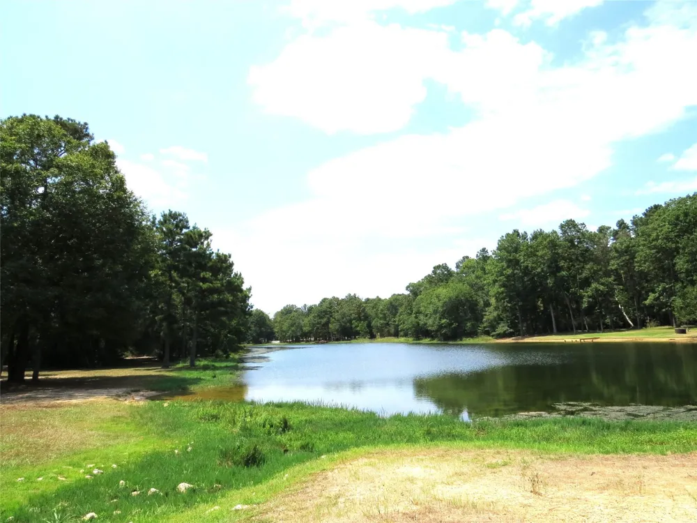 2176 Bambi Court Cleveland, TX 77328