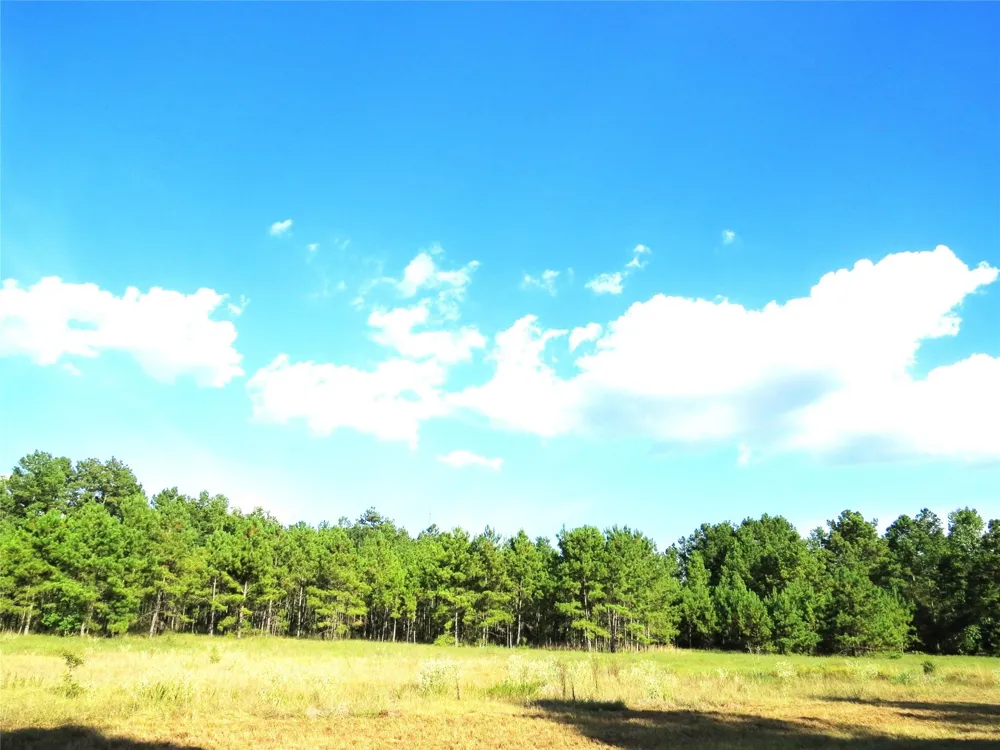 2176 Bambi Court Cleveland, TX 77328