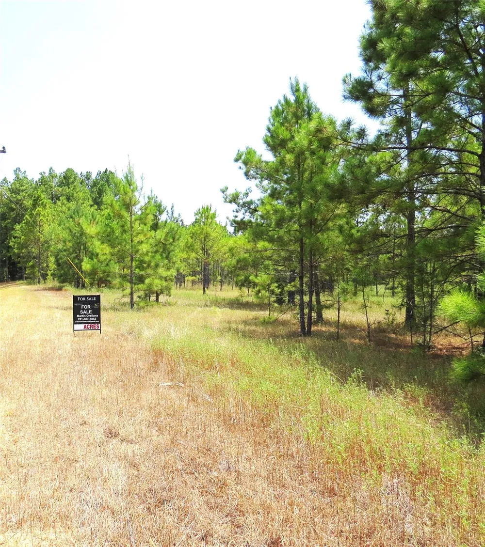 2176 Bambi Court Cleveland, TX 77328