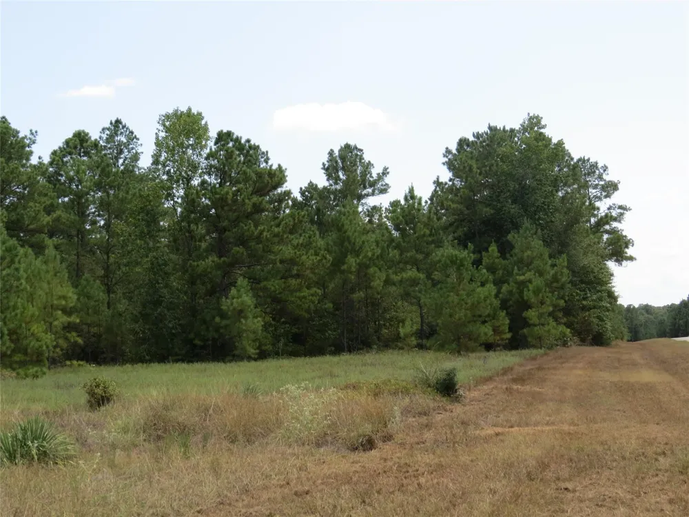 2176 Bambi Court Cleveland, TX 77328
