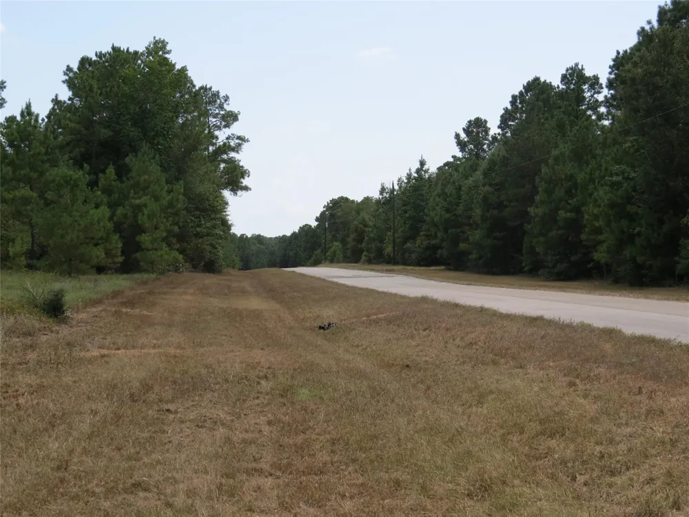 2176 Bambi Court Cleveland, TX 77328