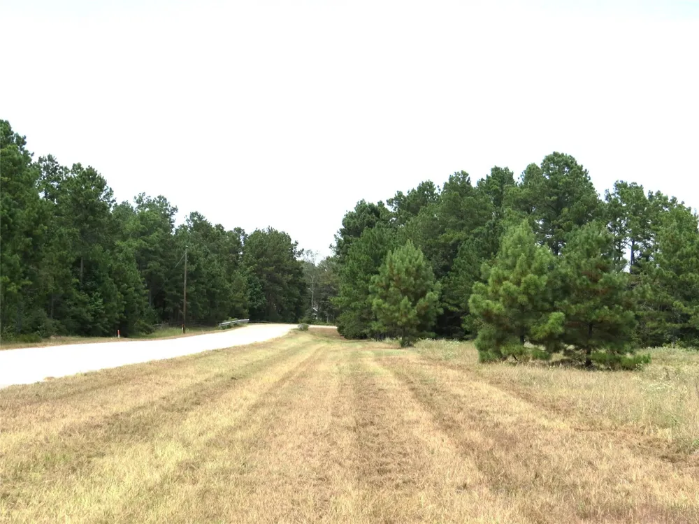2176 Bambi Court Cleveland, TX 77328
