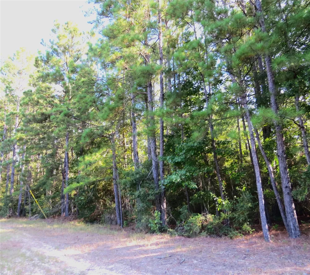 2176 Bambi Court Cleveland, TX 77328