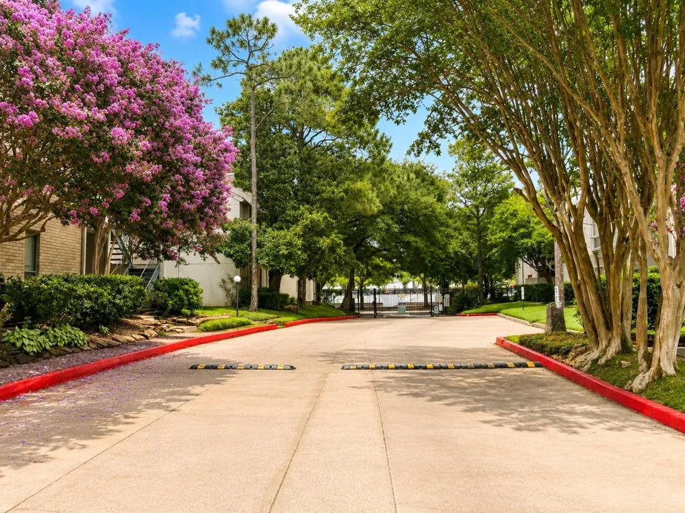 7900 Stadium Drive #8 Houston, TX 77030