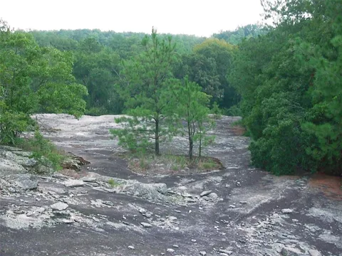 0000 Rabbit Farm Road