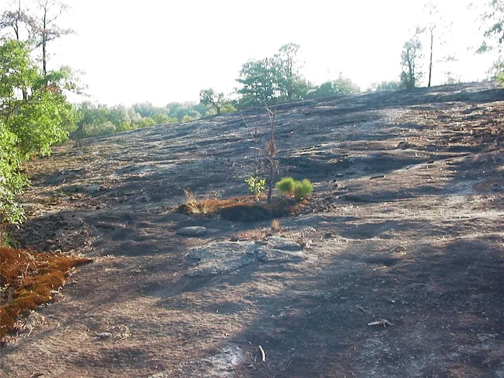 0000 Rabbit Farm Road Loganville, GA 30052