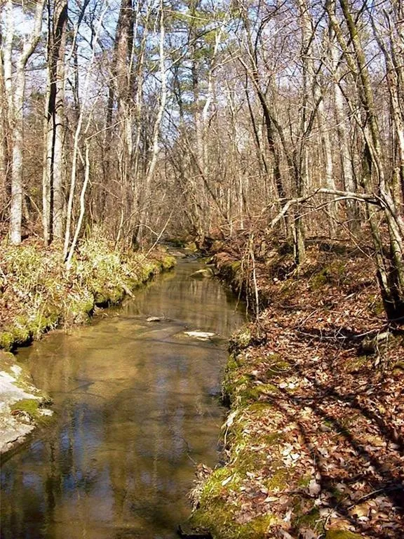 0000 Rabbit Farm Road Loganville, GA 30052