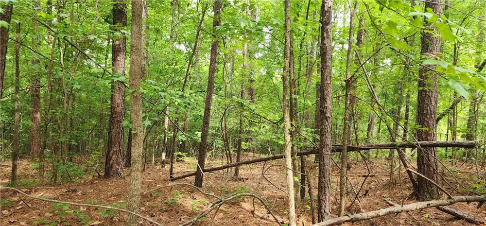 0000 Rabbit Farm Road Loganville, GA 30052