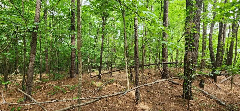 0000 Rabbit Farm Road Loganville, GA 30052