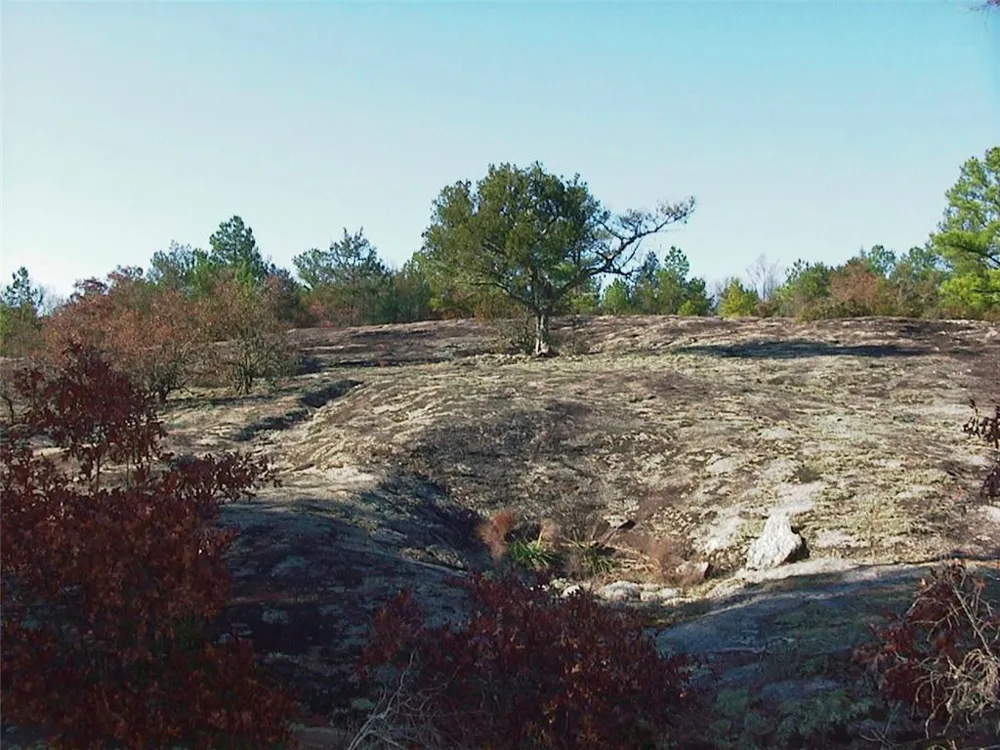 0000 Rabbit Farm Road Loganville, GA 30052